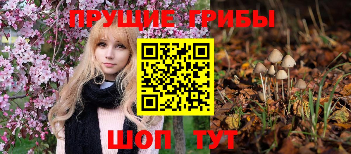 Псилоцибиновые грибы Cubensis Вязьма
